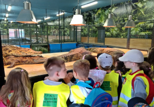 Dzieci obserwują odpoczywajace krokodyle